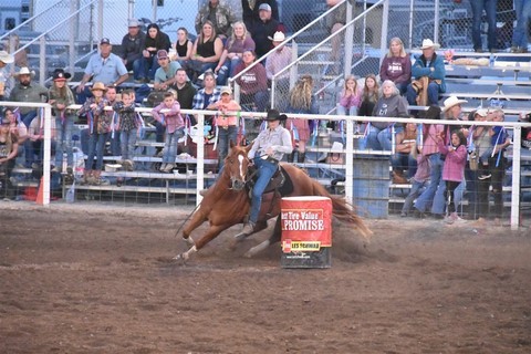 Rodeo Coulee City